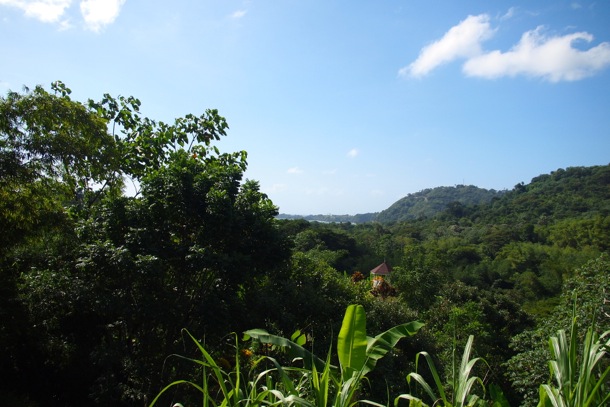 High in the Roxborough Hills, Tobago/SBPR