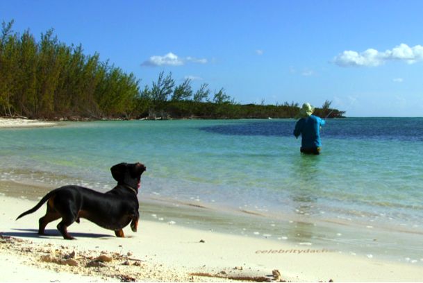 Crusoe fly fishing in Eleuthera