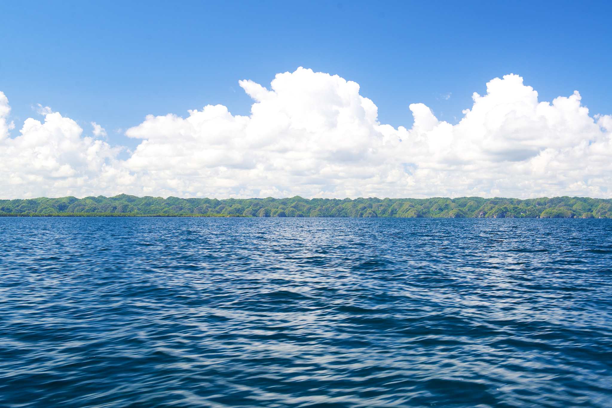 Los Haitises National Park at a distance by Patrick Bennett