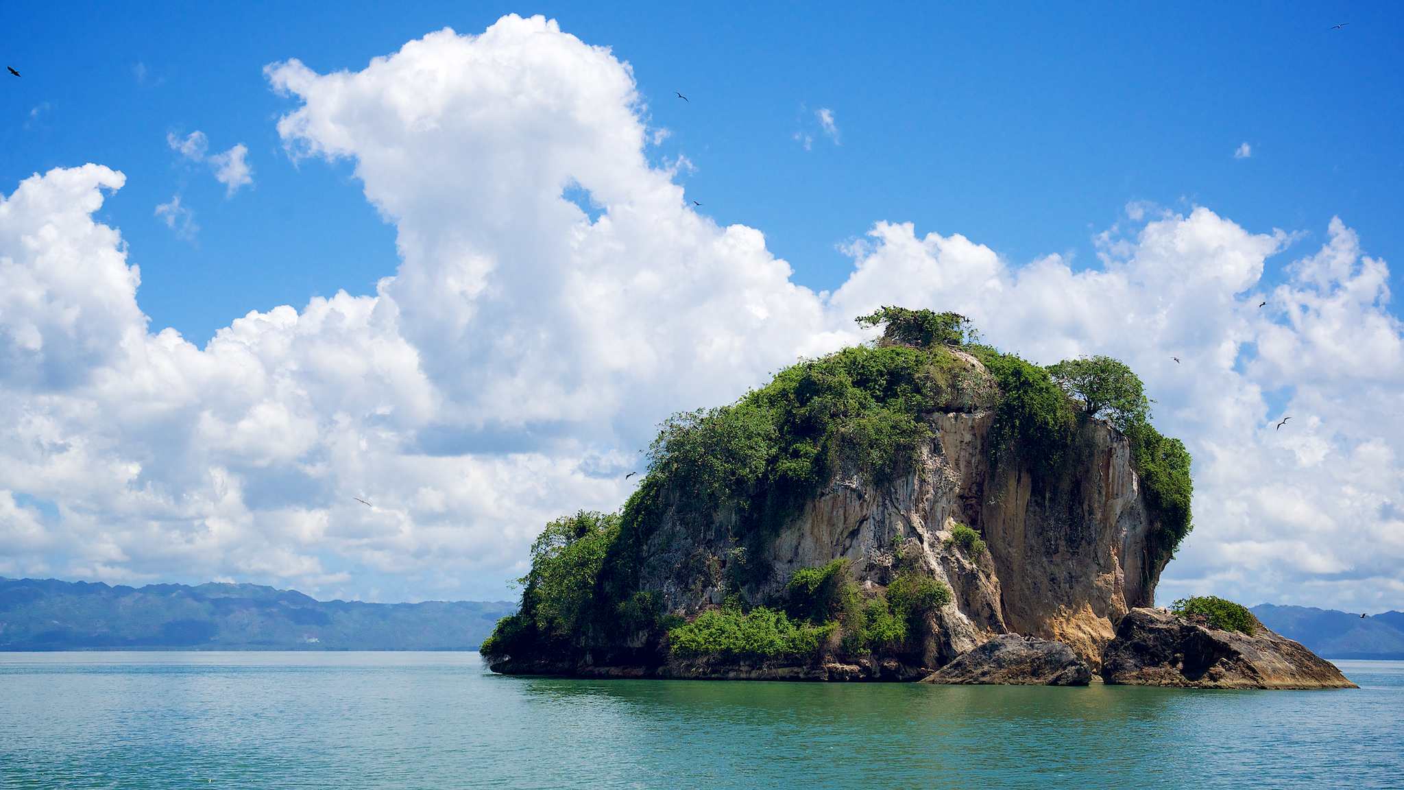 Los Haitises National Park island with birds by Patrick Bennett