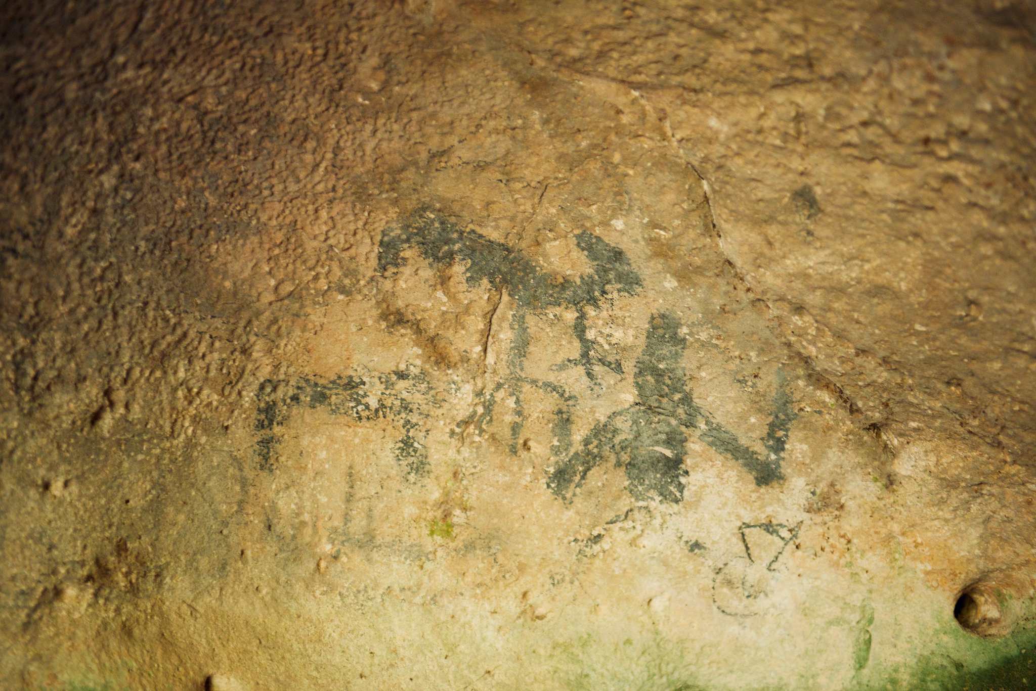 Los Haitises National Park petroglyphs by Patrick Bennett