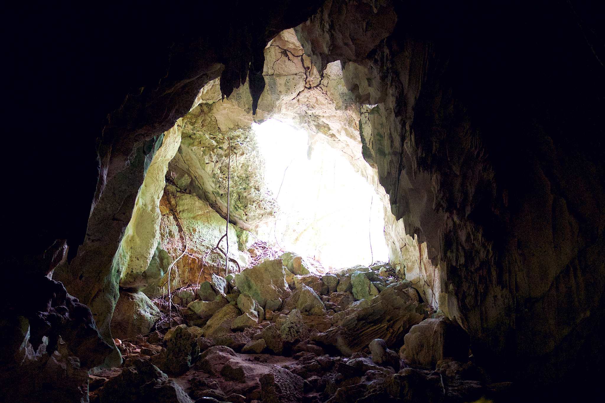 Los Haitises National Park cave by Patrick Bennett