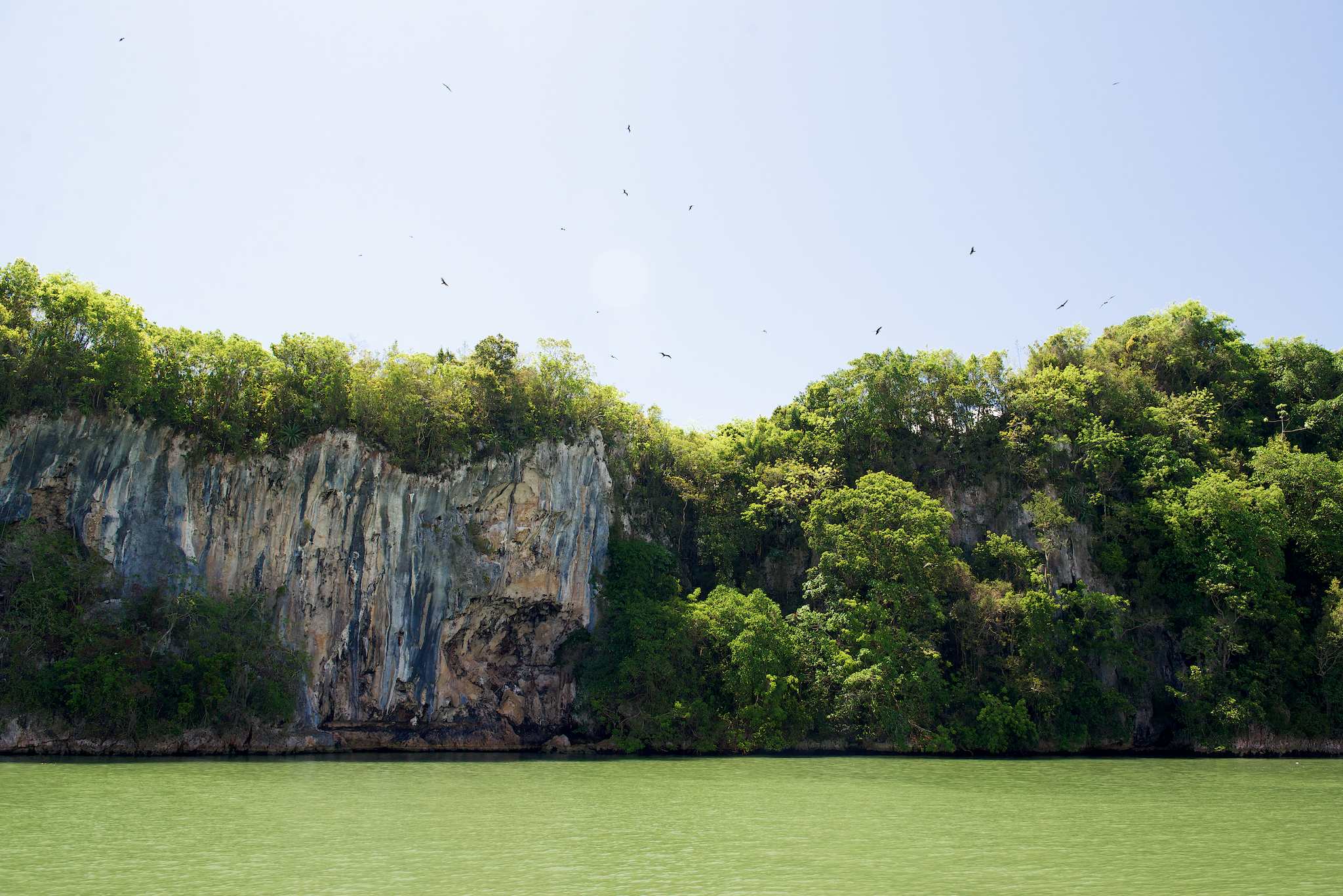 Los Haitises National Park Cliffs by Patrick Bennett