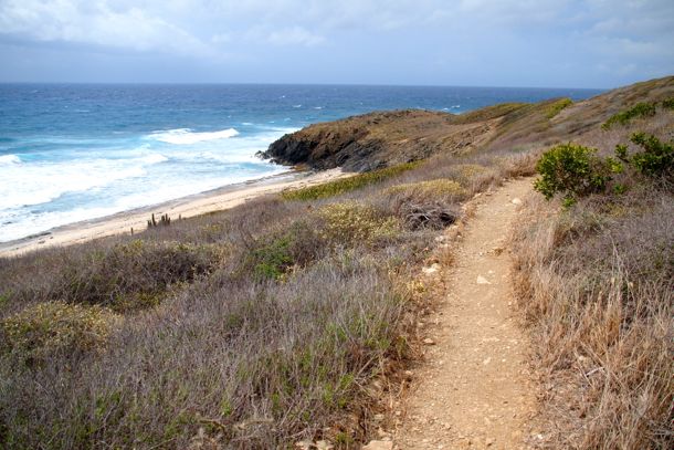 On the Trail to Isaac Bay, St. Croix | Credit: SBPR