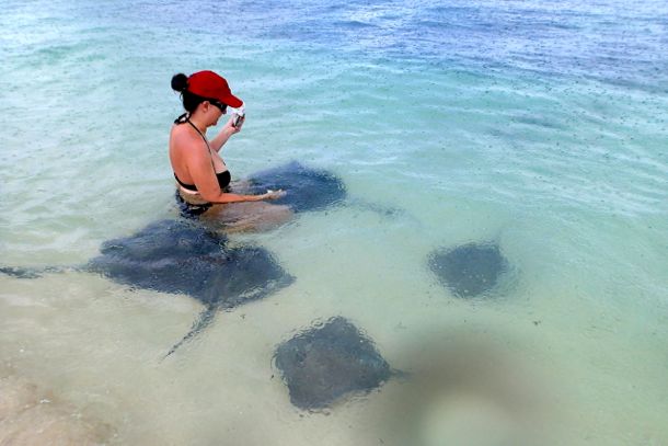 Leann feeding her stingray friends | Credit: Kelly Bennett