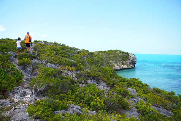 The Path to Osprey Rock, Provo | SBPR