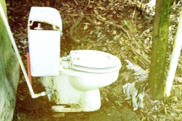 Jungle toilet at Phillips Country Cabin, El Yunque | Lily Pollak