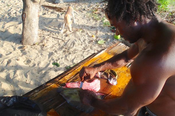 eating stingray