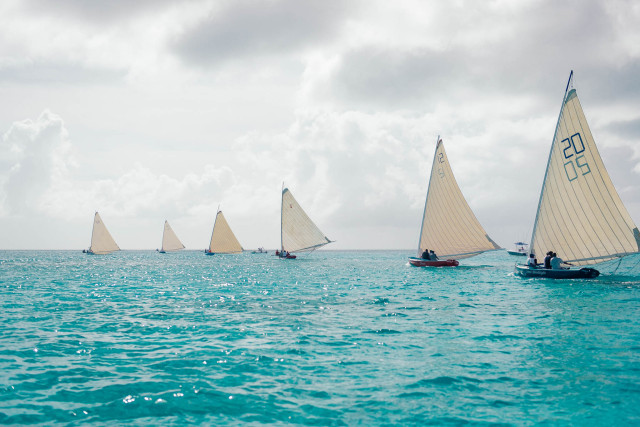 It's impressive to see these small sloops all lined up. by Patrick Bennett