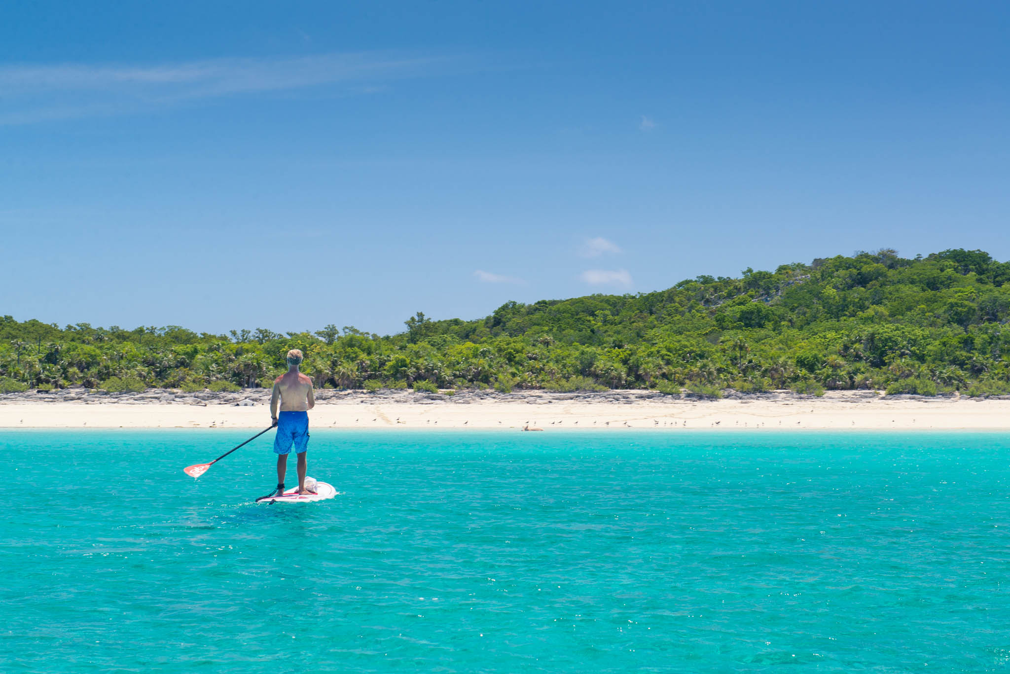 Swimming Pigs and Paddleboarding Exumas by Patrick Bennett