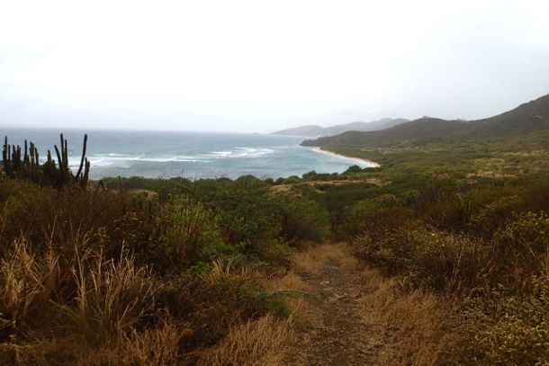 Jack's Bay in the Rain | SBPR