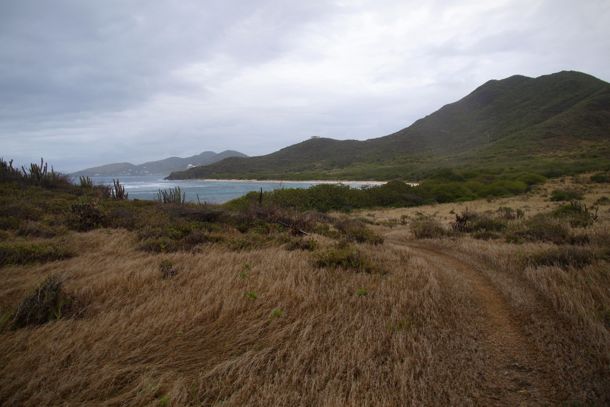On the trail to Horseshoe Bay, St. Croix | SBPR