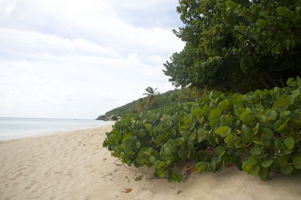 Turner's Beach, Antigua | SBPR