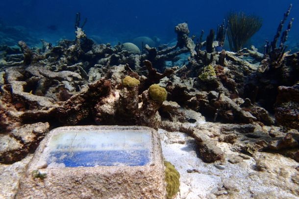 Buck Island Underwater Trail, March 2, 2013 | SBPR