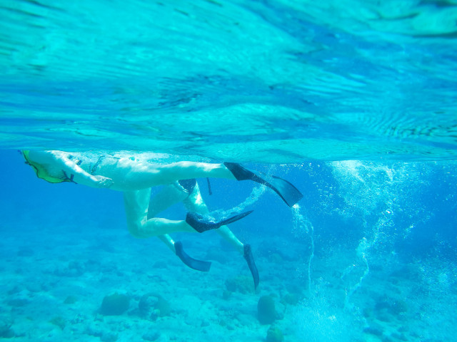 snorkeling Buck Island Reef National Monument by Patrick Bennett