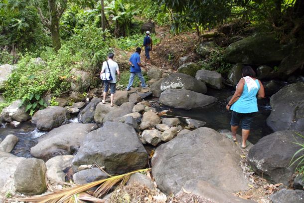 Somewhere in Petite Savanne, Dominica | SBPR