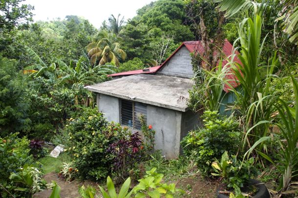 Mr. X lives here in Petite Savanne, Dominica | SBPR
