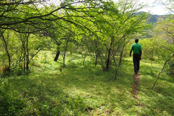 Melvin leads the way to Bolans, Antigua | SBPR