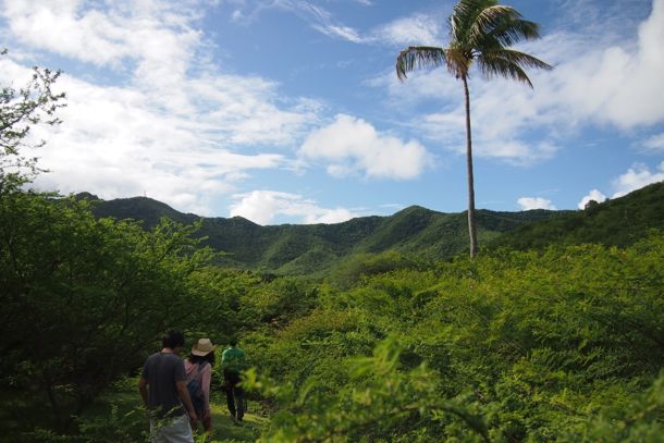 Beautiful scenery on the hike from Sugar Ridge to Bolans, Antigua | SBPR