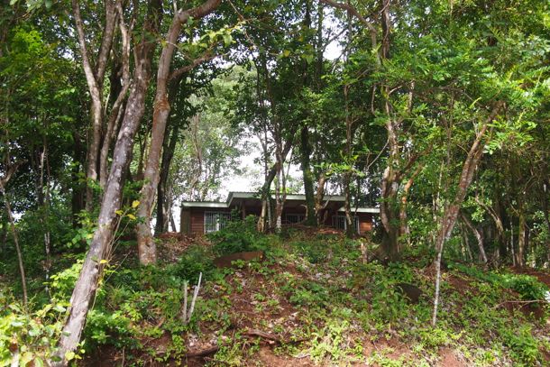 Sunrise Farm Cottage ensconced in the bush | SBPR