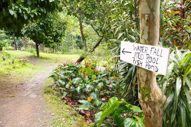 This way to relaxation at Ti Kwen Glocho, Dominica | SBPR