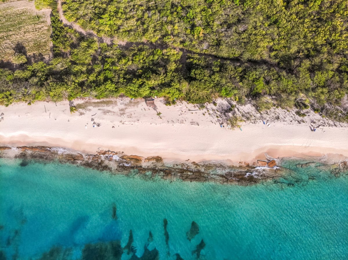 Nudist Beach Antigua Flapping in the Breeze at Eden Beach picture