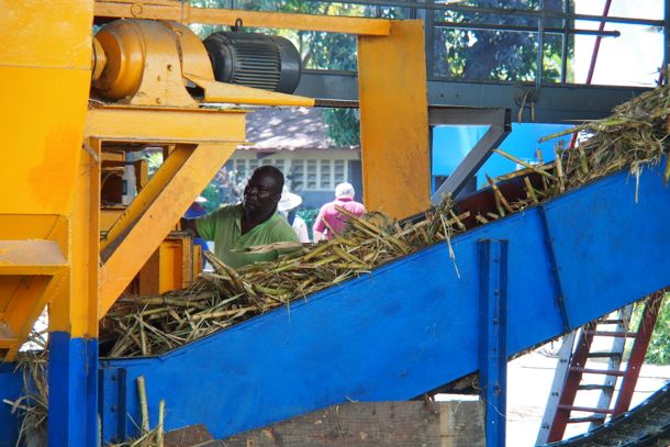 Crushing le Cane at Rhum Barbancourt, Haiti | SBPR