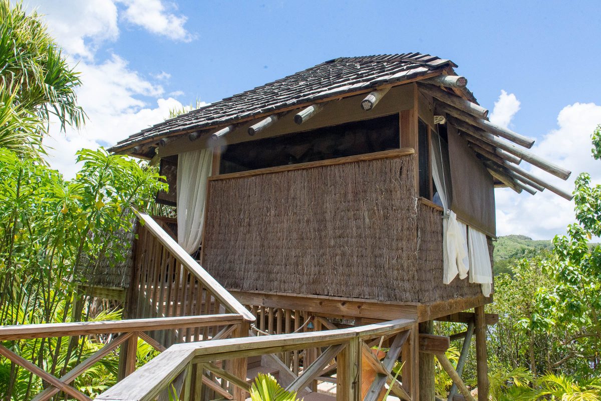 Galley Bay Resort and Spa - Treahouse treatments by Patrick Bennett