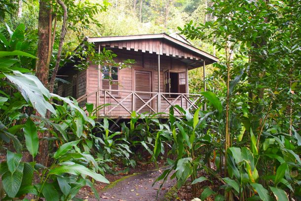 Jungle Bay Cottage | SBPR