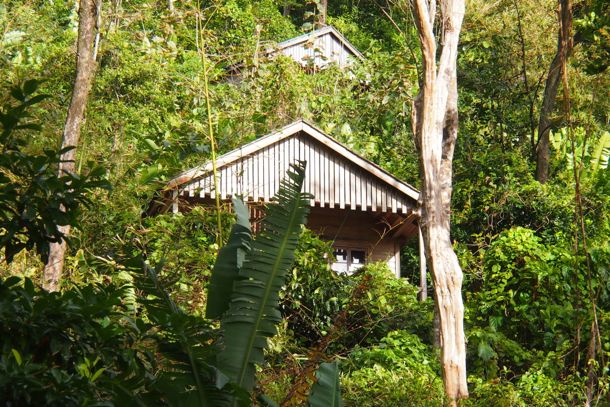 Jungle Bay Cottages set seamlessly in nature | SBPR