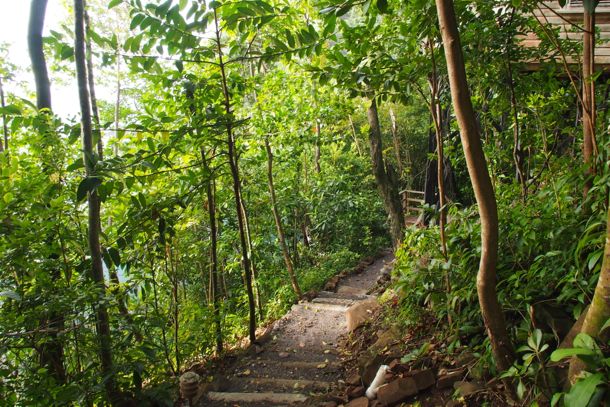 Path to my cottage at Jungle Bay, Dominica | SBPR