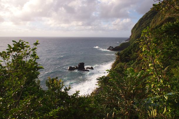 View from Breadfruit Cottage at Jungle Bay, Dominica | SBPR