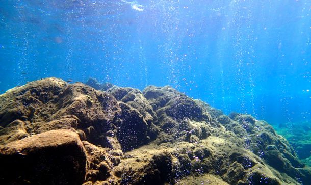 Beneath the waves at Champagne Reef, Dominica | SBPR