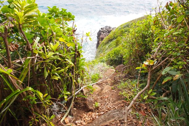 You'll need to rappel down this rope to get to the end of the Zom Zom Trail | SBPR
