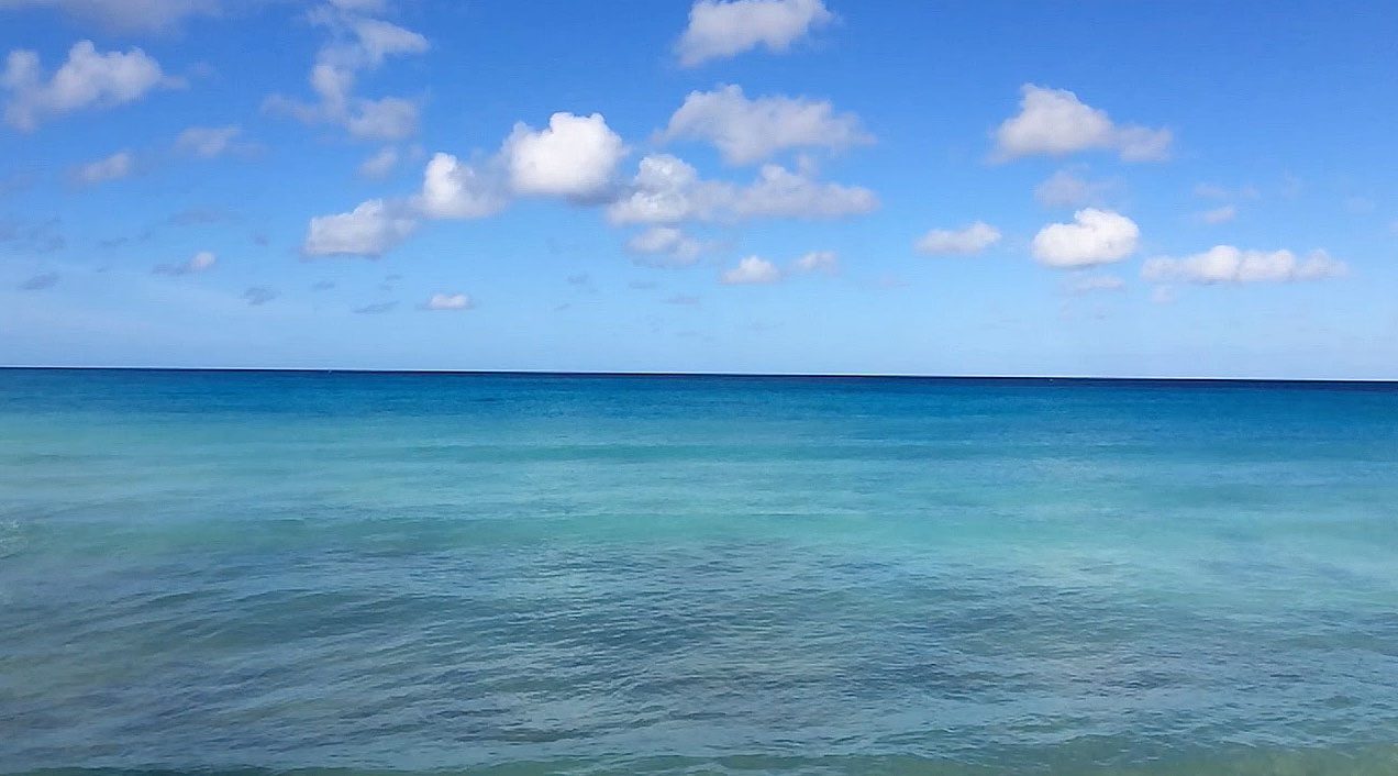 Waves from cotton house 2 Barbados by Patrick Bennett