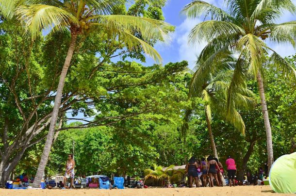 Les Palms on Grande Anse, Guadeloupe | Credit: Zickie Allgrove