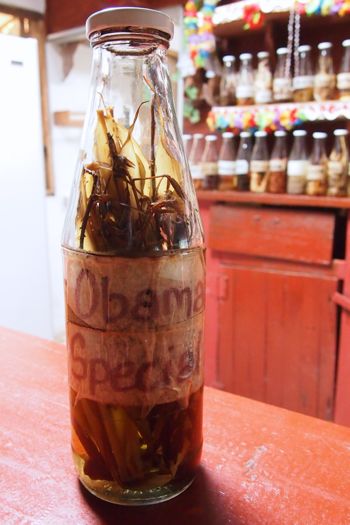 Obama Special at Rudy's Islet View Bar, Dominica | SBPR