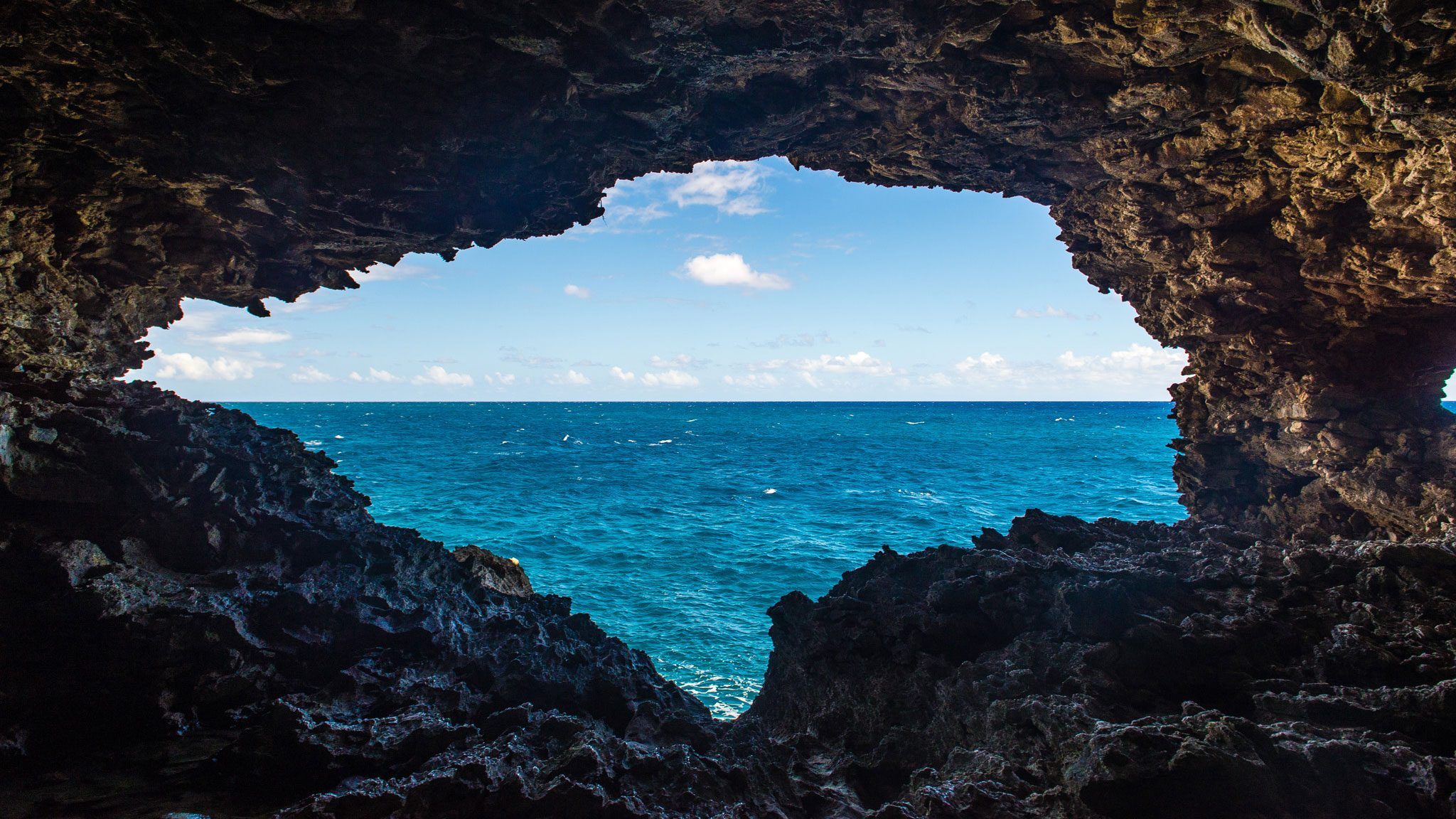 Animal Flower Cave, Barbados by Patrick Bennett