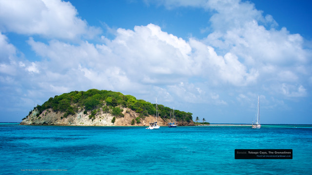 Baradal-Tobago-Cays-The-Grenadines