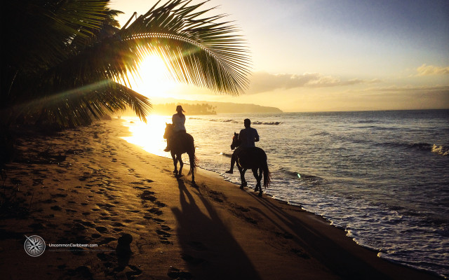 Horseback, Las Terrenas, Dominican Republic