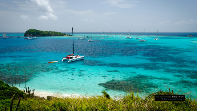 View from Jamesby, Tobago Cays, St. Vincent and the Grenadines