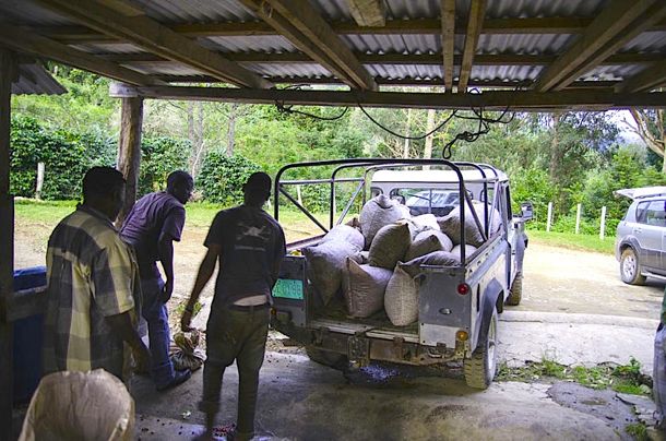 Coffee being loaded into the back of the Whitfield Hall Land Rover | Credit: Zickie Allgrove