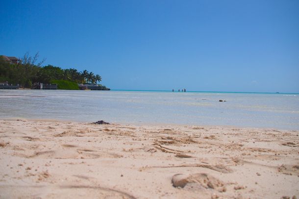 Yes, those dots are people standing in the sea well offshore in Taylor Bay | SBPR