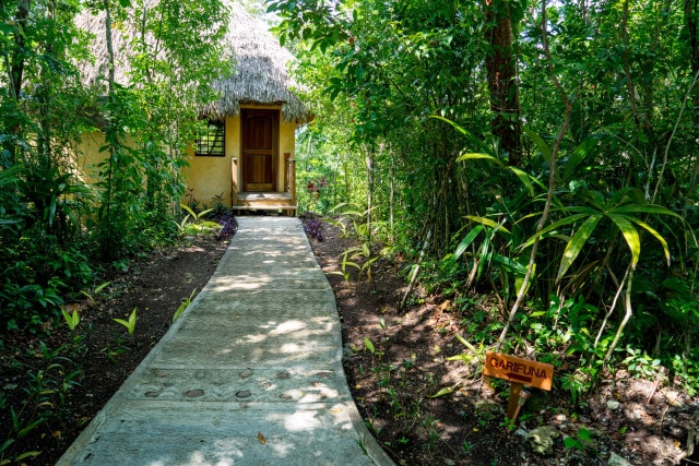 Amber Sunset Jungle Resort Treehouse by Patrick Bennett