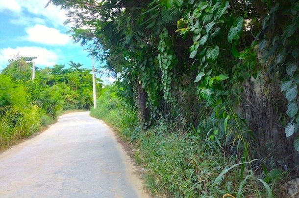 Semi-paved road in Bavaro | Credit: Laura Albritton