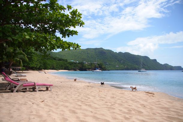 Princess Margaret Beach, Bequia | SBPR