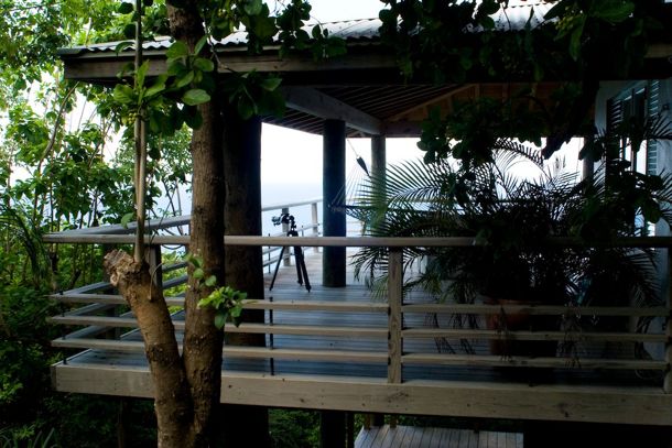 Up among the treetops at Villa Melones, Culebra | Credit: Flickr user Matthew Kraus