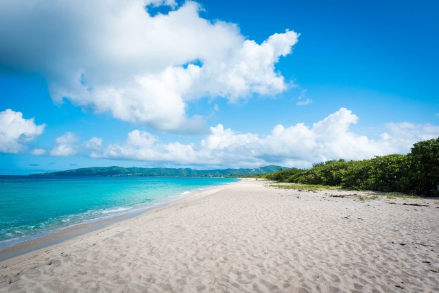 Sandy Point, St. Croix by Patrick Bennett