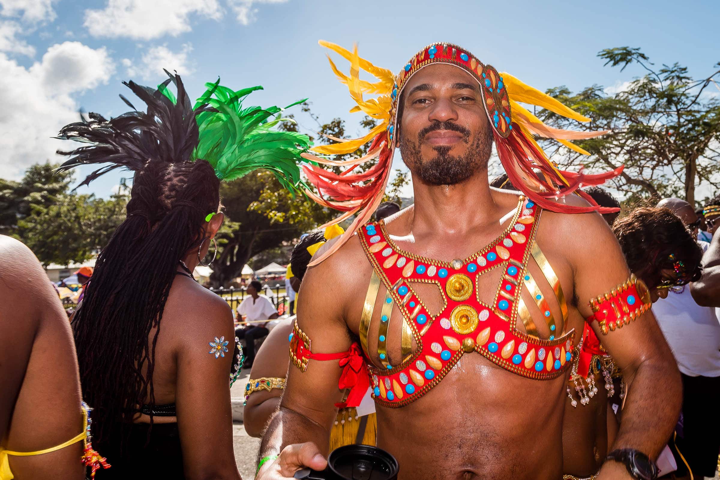 Trinidad Carnival 2015 by Patrick Bennett