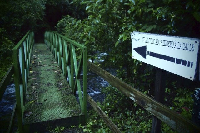 Bridge along a Trogon Lodge hiking trail | SBPR